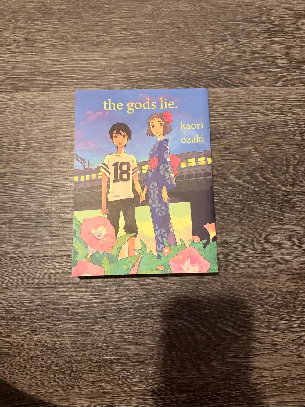 The Gods Lie by - Illustrated Kids Graphic Novel (Blue Cover)